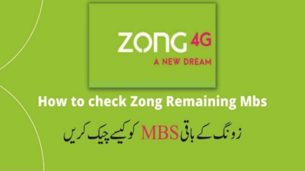 Check Your Data on Zong